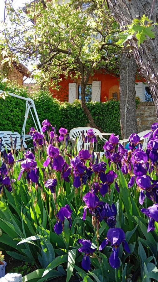 Гостевой дом Morelli House Montalbo Экстерьер фото